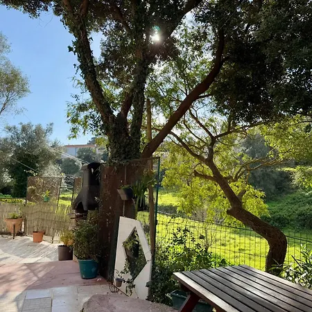 Lägenhet Casa Star Ericeira